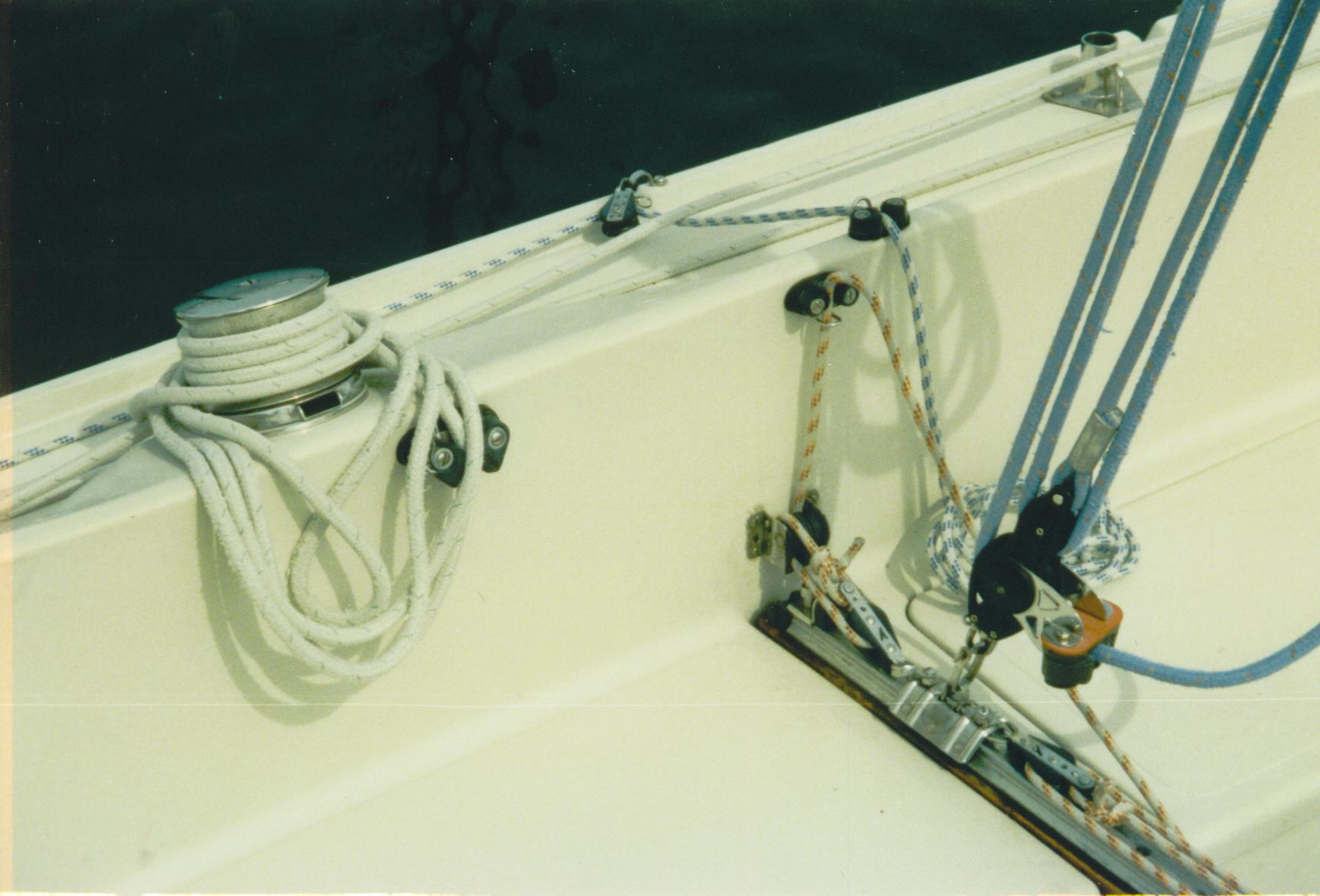 Storskot och sugga.JPG